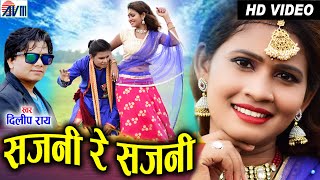 Dilip ray  Cg Song  Sajni Re Sajni  Salini  New Chhattisgarhi Gana  New Cg Dj Song  AVM STUDIO [upl. by Clifton]