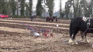 Mullahead Ploughing Match 2018 [upl. by Taryne]