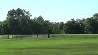 BNSF Eastbound Intermodal Train [upl. by Aierb]