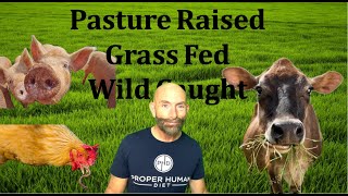 Premium Quality Exploring PastureRaised GrassFed and WildCaught Foods grassfed [upl. by Noletta23]