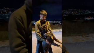 Doberman yabancı arabaya bindi 😱😂 dog köpek [upl. by Ahtamas77]