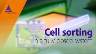 Cell sorting in a fully closed system [upl. by Fonville]