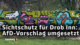 Drob Inn Drogenhilfe bekommt Sichtschutz [upl. by Nosoj]