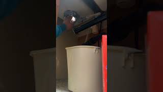 Installing Moen garbage disposal plumbers ￼ [upl. by Ecirtaeb]