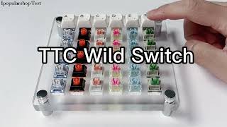 TTC Switches Sound Test [upl. by Lena575]