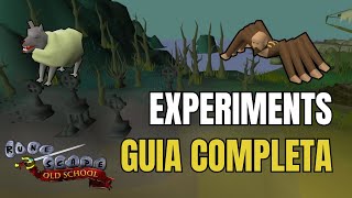 OSRS Experiments GUIA COMPLETA 170 Combat y Ranged XP Español Old School Runescape [upl. by Ayvid]