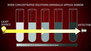 Spectrophotometric Determination of Concentration of a Solution [upl. by Notecnirp155]