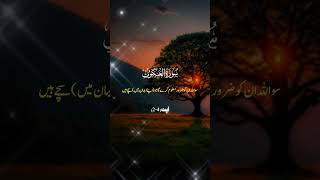 Surah e Ankuqboot translation 💖 subscribemychannel [upl. by Nolra]