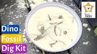 How To Make A DIY Dinosaur Fossil Dig Kit At Home Using Corn Starch  Dinosaurs For Kids  Easy DIY [upl. by Timmy]