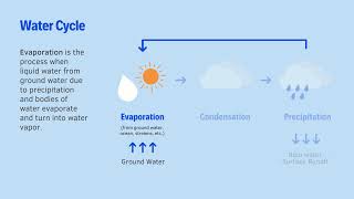 Hydrologic Cycle Processes [upl. by Straub]