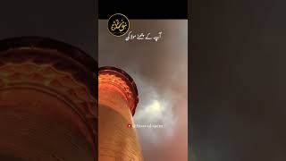 wilayat e ali ❤️💐video shorts short youtube youtubeshort [upl. by Ylloj990]