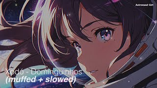 Eu só quero um xodó  Dominguinhos Slowed  Muffled [upl. by Monah]