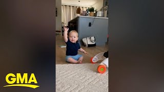 Baby has the cutest dance to I Like to Move It [upl. by Ahsyek]