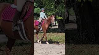 Margots Pony Club  Just a Girl amp Her Horse 100624 😊🐎 [upl. by Aksoyn985]