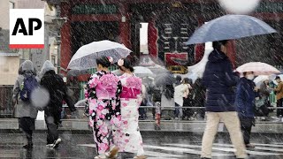 Tokyo blanketed in light snow as residents embrace winter weather [upl. by Neehs]