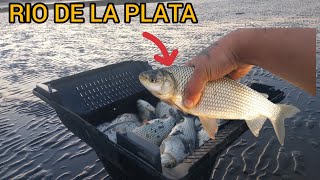 LUGAR GRATIS  increíble lleno de peces  RIO DE LA PLATA  LOS SACAS CON LA MANO [upl. by Ilamad]