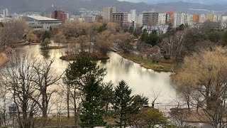 Nakajima koen sapporo hokkaido live camera [upl. by Anos]