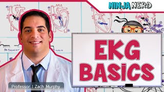 EKG Basics  How to Read amp Interpret EKGs Updated Lecture [upl. by Nerhtak]