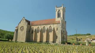 The Wines of Burgundy [upl. by Huston657]