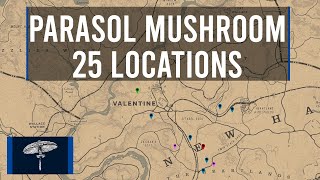 RDR2 Parasol Mushroom Locations  Red Dead Online Daily Challenges [upl. by Mackler]