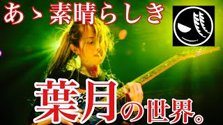 ギタリスト・作曲家 葉月解説【NEMOPHILAKOIAI】 [upl. by Aihsotal119]