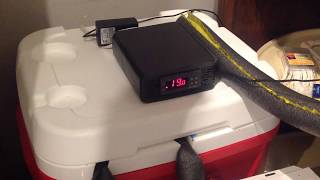 Homebrew DIY Glycol Chiller [upl. by Medor]