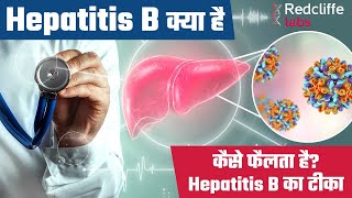 Hepatitis B क्या है और कैसे फैलता है Hepatitis B Symptoms amp Treatment  Hepatitis B Vaccine Hindi [upl. by Eibrab743]