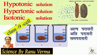 Hypertonic  hypotonic and Isotonic solution  Class 9th CBSE  Science by Ranu [upl. by Sanfourd]