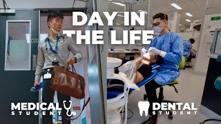 Day in the Life of a Medical Student vs Dental Student [upl. by Profant569]