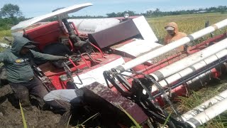 Kekurangan mesin panen padi Combine Harvester [upl. by Darice]