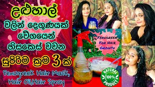 දවස් 7න් උළුහාල් වලින් දෙගුණයක් වේගයෙන් හිසකෙස් වවන ක්‍රම 3ක්  Fenugreek for Hair Growth [upl. by Luhe158]