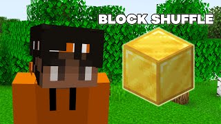 Minecraft Block Shuffle Is Wild [upl. by Marie]