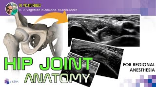 HIP JOINT ANATOMY FOR REGIONAL ANESTHESIA [upl. by Yehudit]