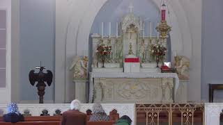 Friday 8 AM Latin Mass for 11292024 [upl. by Clie874]