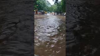 Nungambakkam rainfall rainwater cyclone rain water chennai weather [upl. by Cira482]