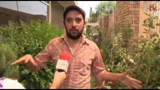 Entrevista Manos de tierra Huerto urbano Torreón México [upl. by Sinnod]