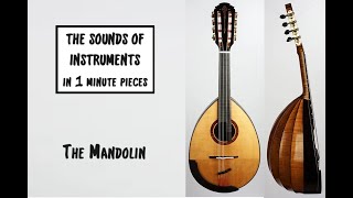 The Mandolin The Sounds of Instruments in 1 min pieces [upl. by Dhiman]