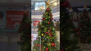 Ngayong Pasko magnining ang Christmas tree christmas2024 abscbn2010CSID [upl. by Beach241]