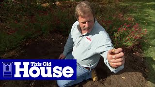 How to Plant Flower Bulbs  This Old House [upl. by Suollecram963]