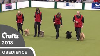 Obreedience  Poodle Training Club  Crufts 2018 [upl. by Timms]