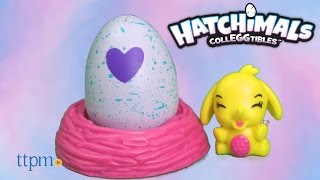 Hatchimals Colleggtibles 2Pack  Nest from Spin Master [upl. by Isbel280]