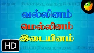 Ka Na Cha Naa  Kasada Thapara  Chellame Chellam  Tamil Rhymes For Kutties [upl. by Renraw]