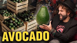 AVOCADO [upl. by Midian]