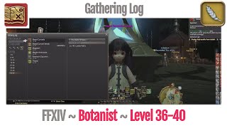 FFXIV Botanist Gathering Log Level 3640  A Realm Reborn [upl. by Meng46]