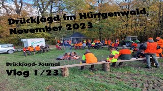 Drückjagd im Hürtgenwald November 2023  DrückjagdJournal  Vlog Folge 0123 [upl. by Dorina81]