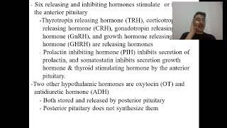 endocrine system recap [upl. by Saidnac]