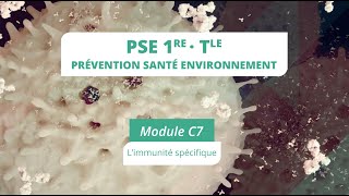 PSE module C7 bis  Limmunité spécifique [upl. by Edahsalof]