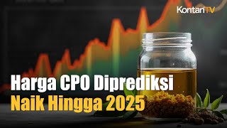 Asyik Harga CPO Diprediksi Terus Naik Hingga 2025  Kontan News [upl. by Jardena]