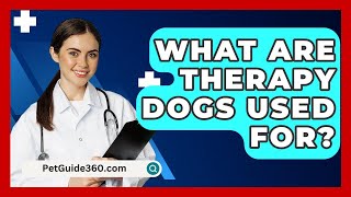 What Are Therapy Dogs Used For  PetGuide360com [upl. by Cornall]