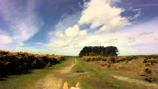 Horse Trekking in Ashdown Forest [upl. by Mcfarland]